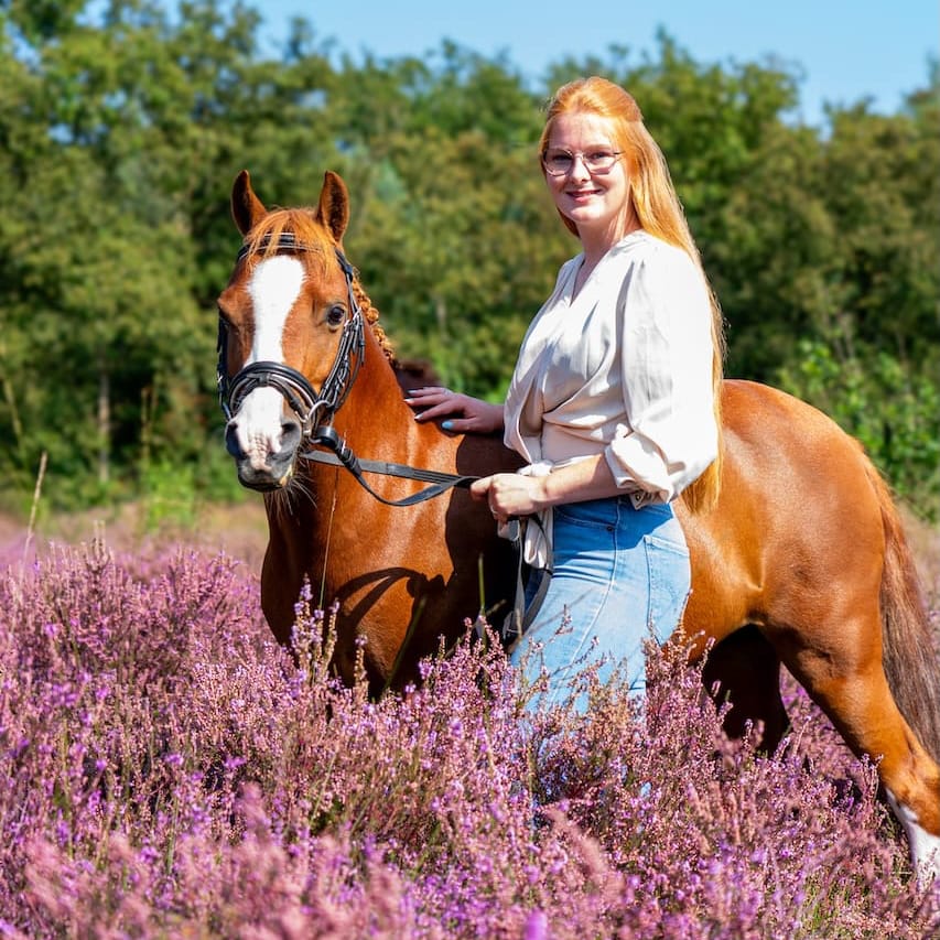 Paard portret