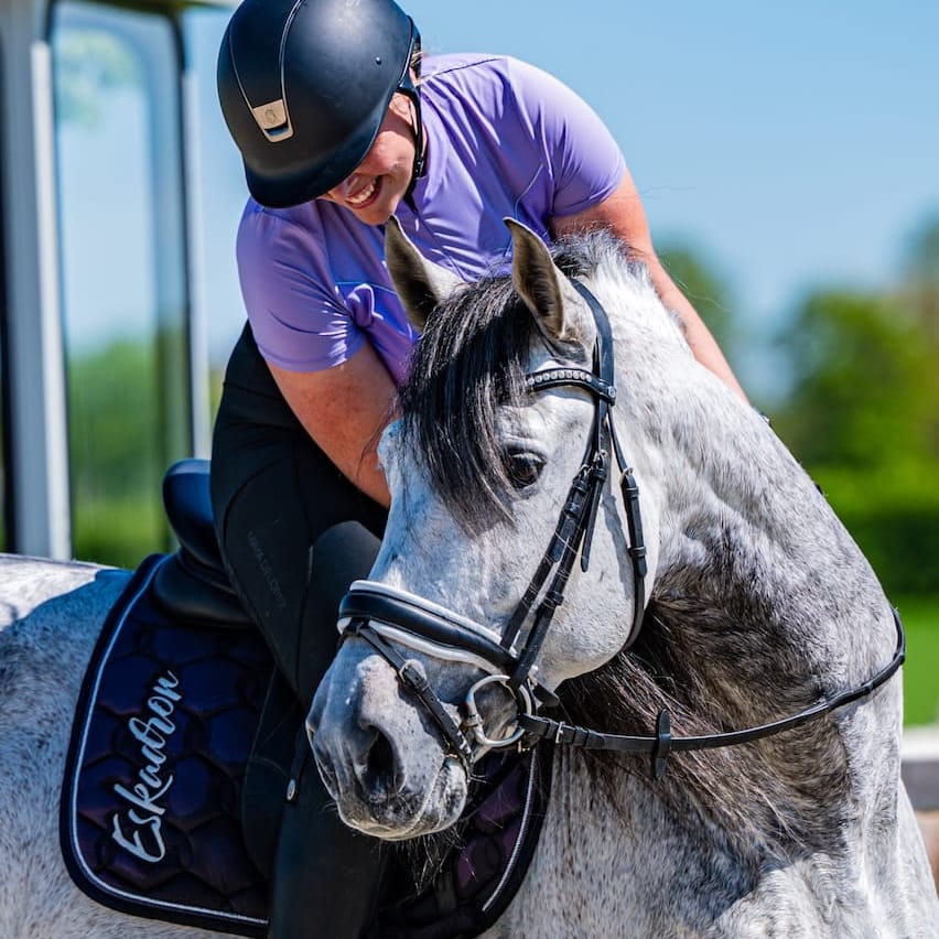 Paard portret
